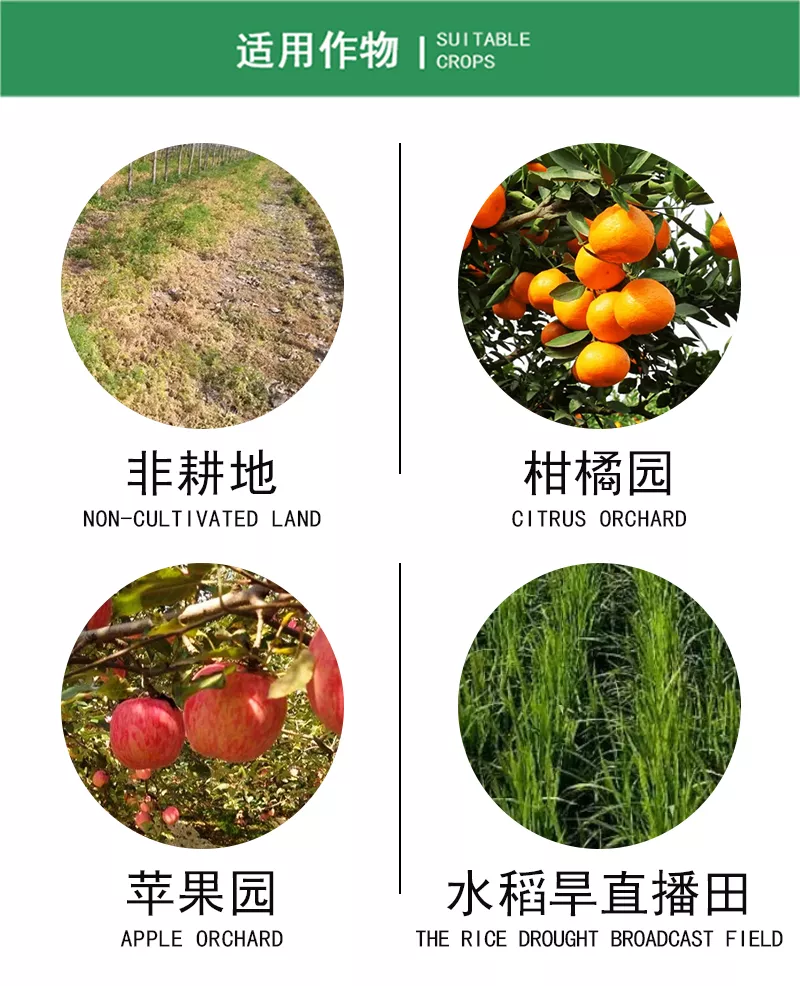 4路宽巴佰金详情.jpg